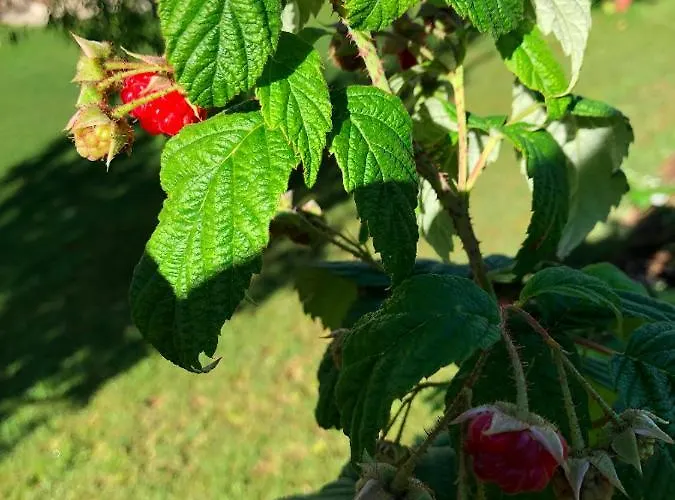 Casa de Campo Stabol Tremosine